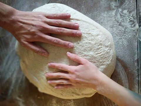 Ферментация или расстойка? Как понять, где недобродило тесто.