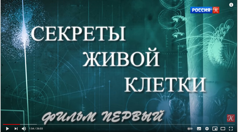 Вся тайна живой жизни. Жизнь замечательных идей. Секреты живой клетки. Секреты живой клетки сделать отзыв по фильму.