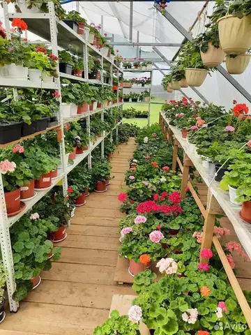 Продажа бизнеса