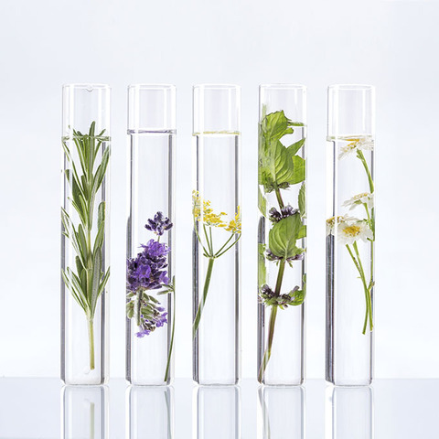 Гидролаты — польза и применение