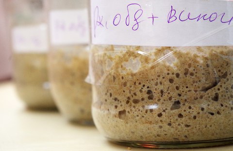 Включить интуицию (простой способ выведения ржаной закваски)