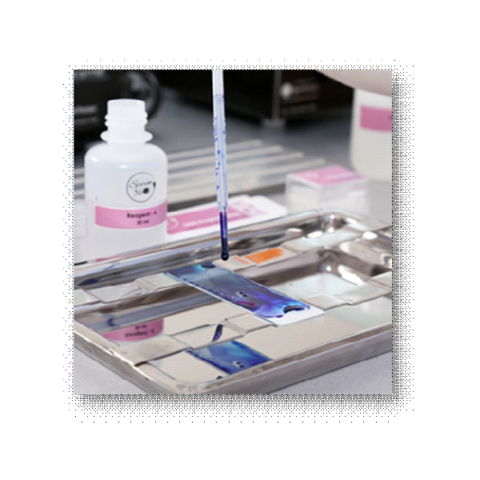 Проведен тренинг на тему: «Обучение работе с наборами тестов SFT Kits и компьютерной системой CASA в комплекте с уникальным программным обеспечением Sperm Soft, предназначенными для анализа фертильной способности спермы (стандарты ВОЗ, 5-е издание)»