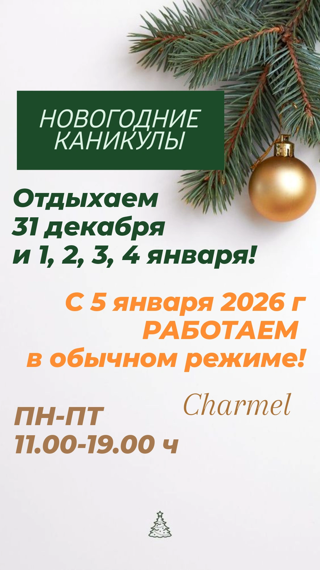 НОВОГОДНИЕ КАНИКУЛЫ