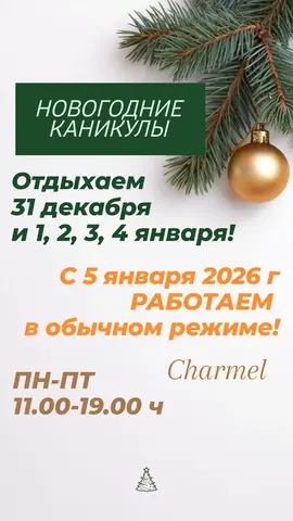 НОВОГОДНИЕ КАНИКУЛЫ