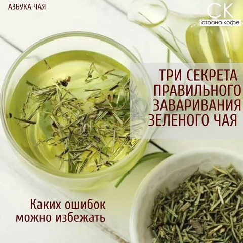 Как правильно заваривать зелёный чай?