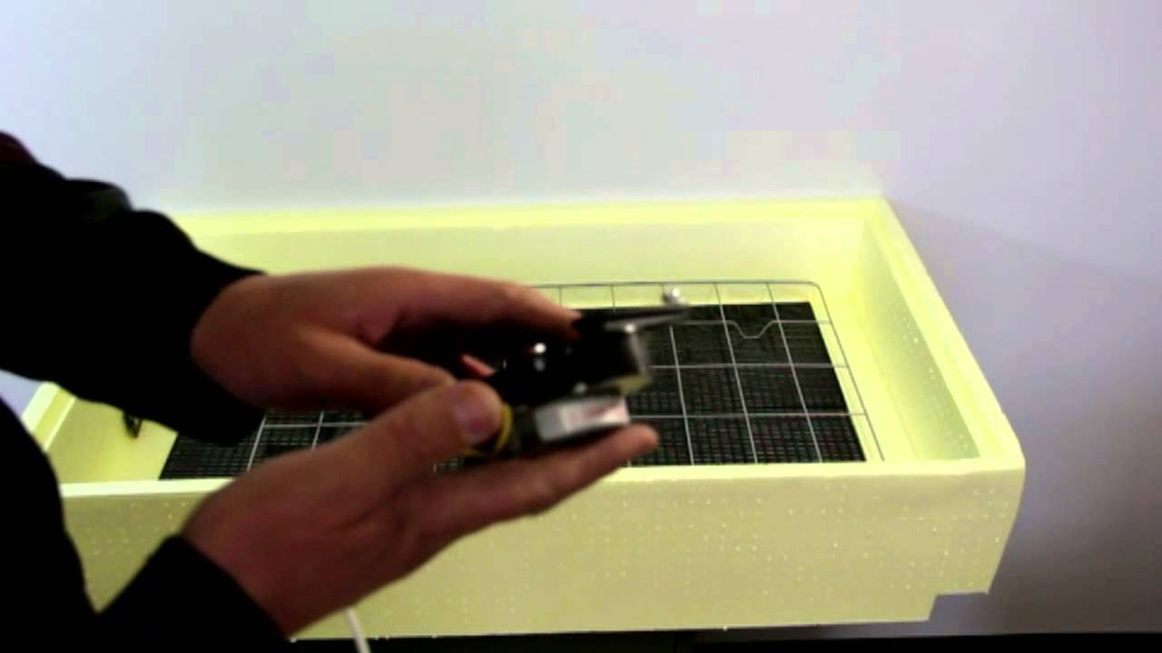 Видео отзывы об инкубаторах Золушка