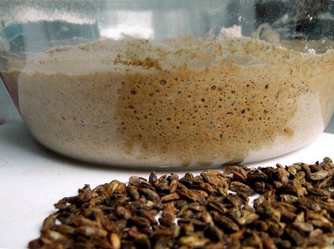 Красный и белый солод