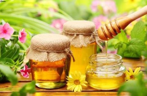 Что нужно знать о мёде?