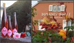 Вино недели с 25 июня - Dopff au Moulin Pinot Noir Grès Rose 2017