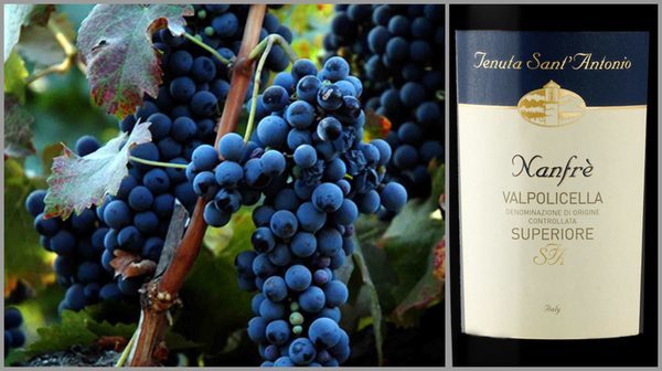 Вино недели с 13 ноября - Tenuta Sant' Antonio Valpolicella Nanfre