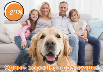 Скидка 20% на второй товар в чеке!