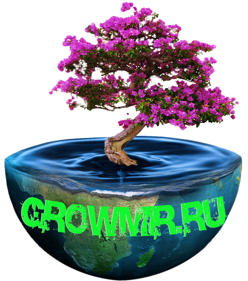 Новый сайт Growmir.ru