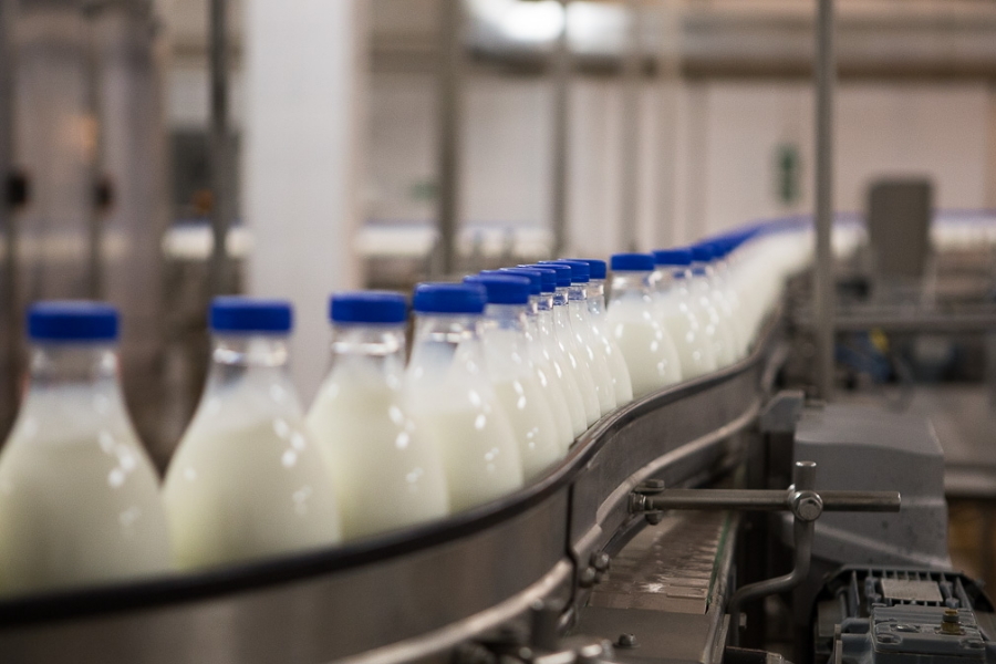 Молочная отрасль будет готова к маркировке молочной продукции к 1 декабря