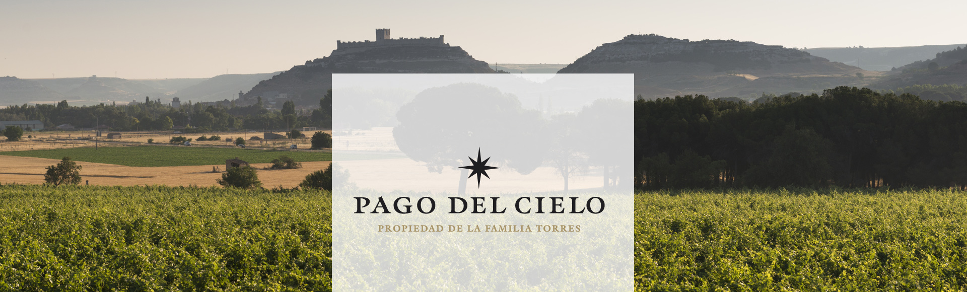 Pago Del Cielo