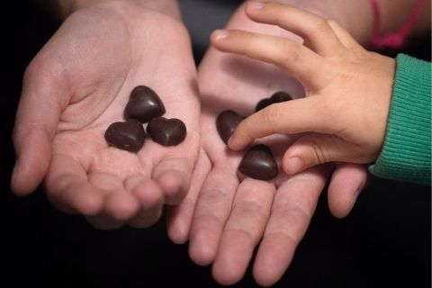 «Самые лучшие детские сладости — это сухофрукты»