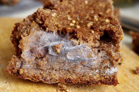 Когда закваска - вредная