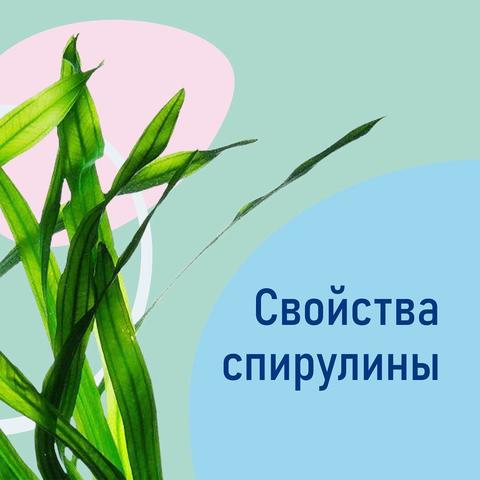 Свойства Спирулины