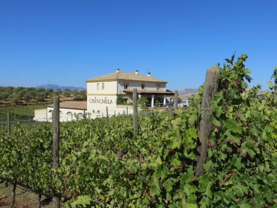Bodegas Doña Felisa