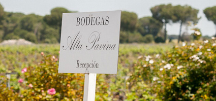 Bodega Alta Pavina