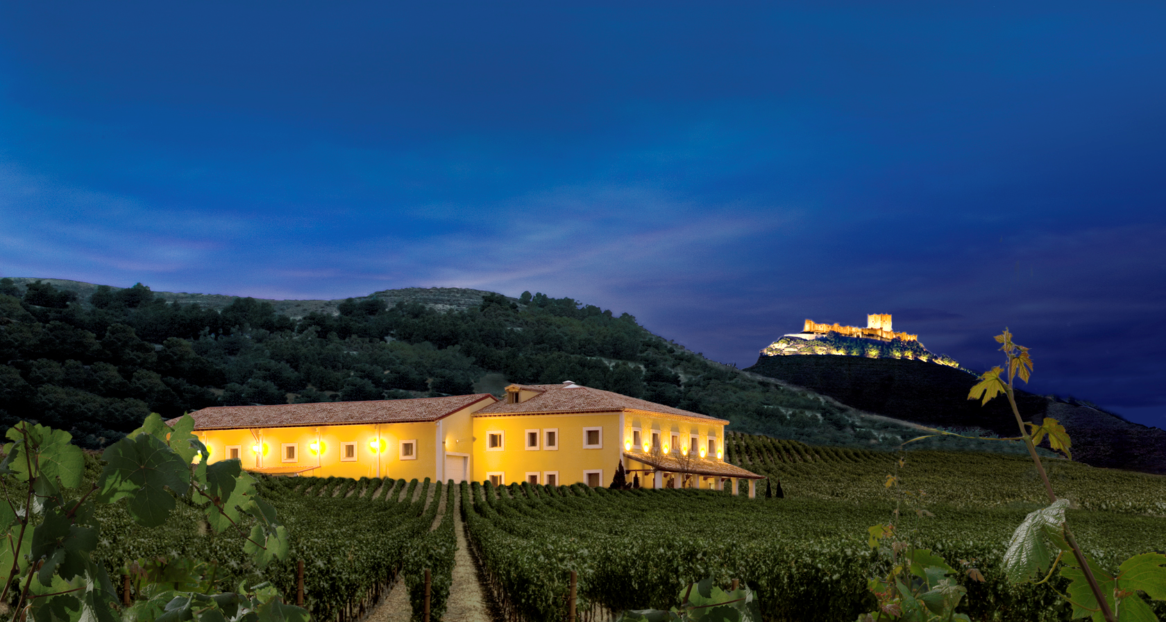 Bodegas Valpincia