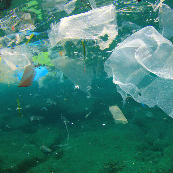 Как решить проблему загрязнения планеты пластиковыми отходами