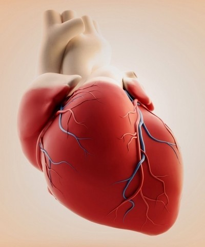 Сердце: тахикардия, стенокардия, коронарное заболевание