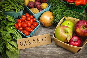 Органические продукты питания: что это такое? Основные критерии экологически чистой продукции