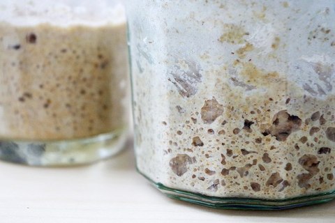 На пике (как понять, что закваска созрела)