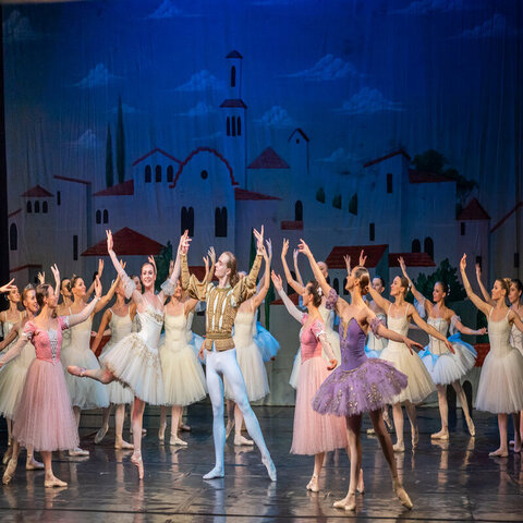 Выступление учениц балетной школы!