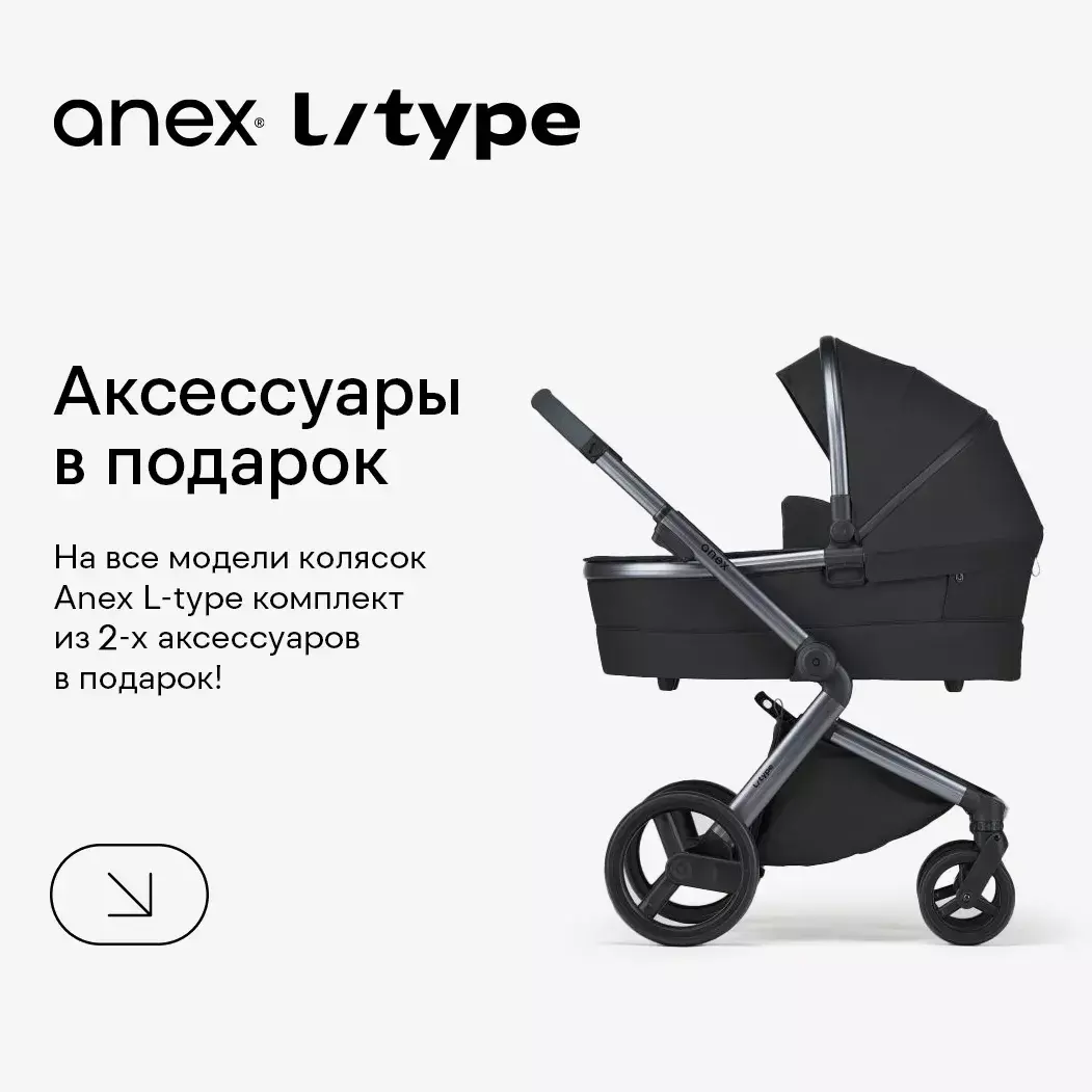 При покупке коляски Anex l/type в подарок сет аксессуаров