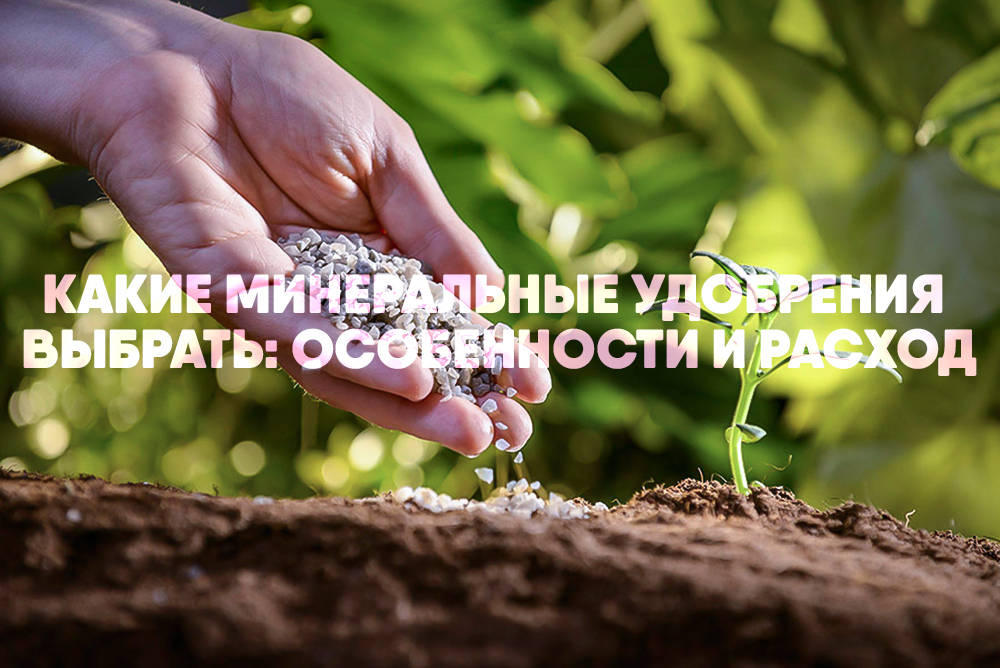 Какие минеральные удобрения выбрать: особенности и расход