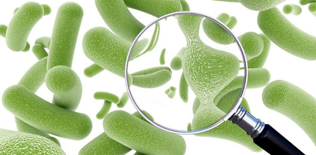 Не кормишь микробиом? Тогда он съест тебя! Чем опасен дефицит пребиотиков