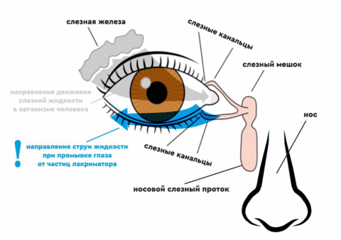 Холодный огонь — Викиверситет