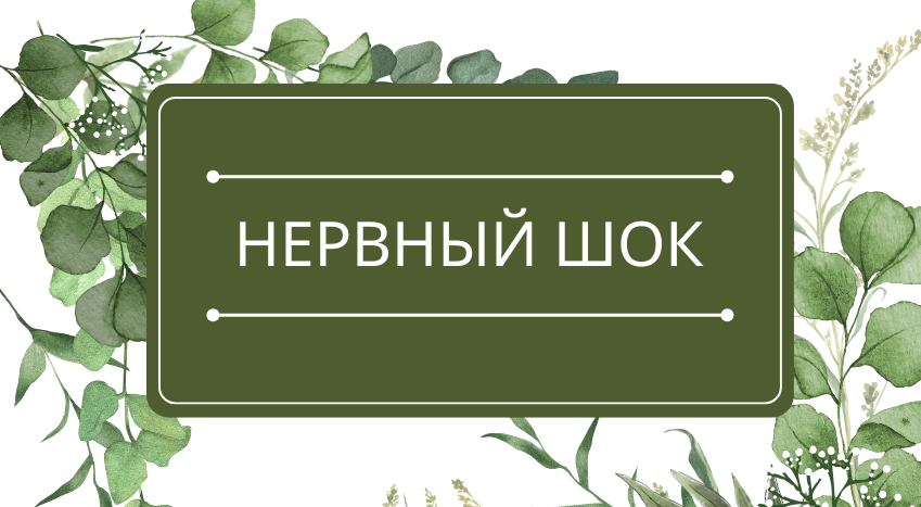 Нервный шок: помощь эфирных масел