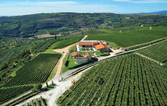 Castagnedi