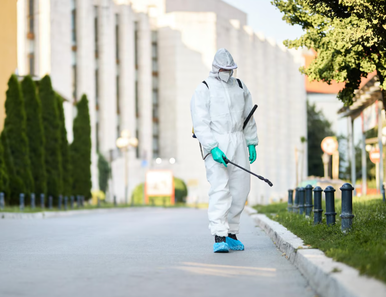 Как выбрать эффективный инсектицид для весенней обработки помещений