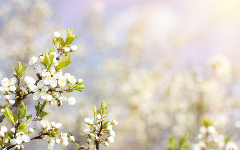 Весеннее пробуждение вредителей: почему дезинсекция нужна уже в марте-апреле