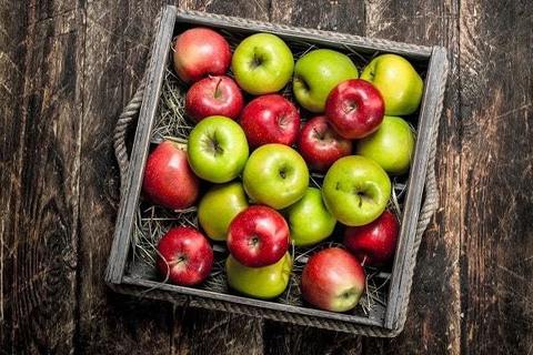 Как сохранить урожай яблок: готовим домашнюю пастилу