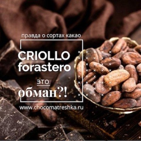 Правда о сортах какао! Criollo и Forastero - это обман?!