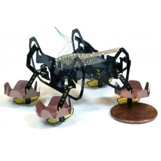 Гарвард представил ныряющего робота-таракана
