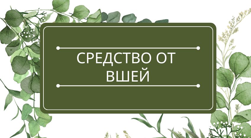 Средство от вшей: помощь эфирных масел