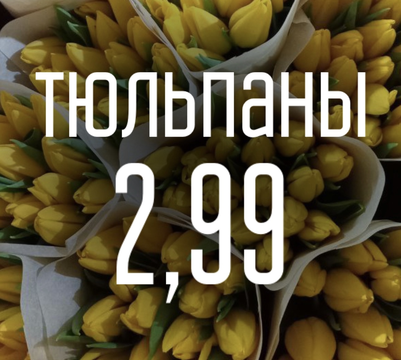 Тюльпаны по 2,99