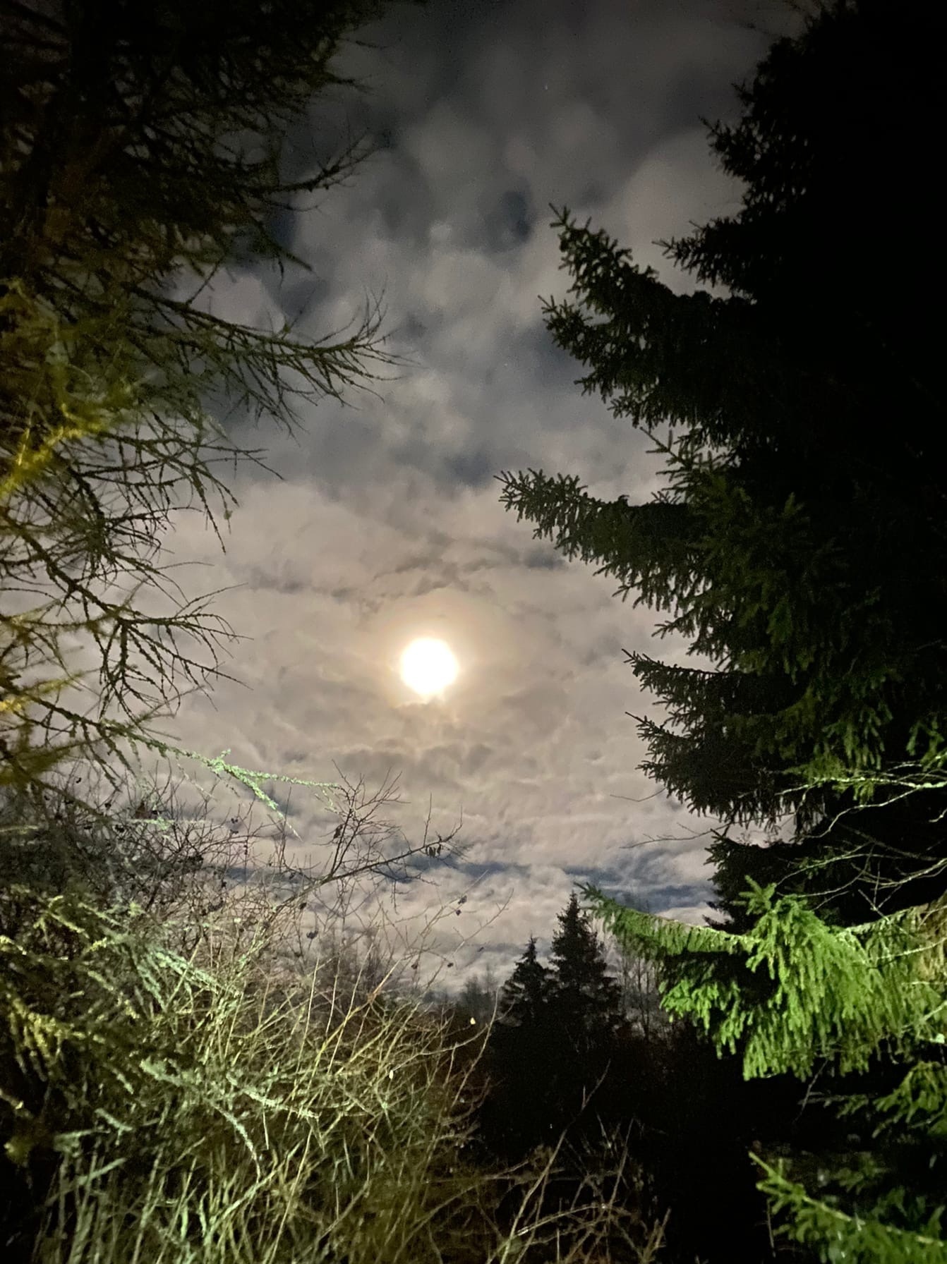 Как это быть ведьмой?