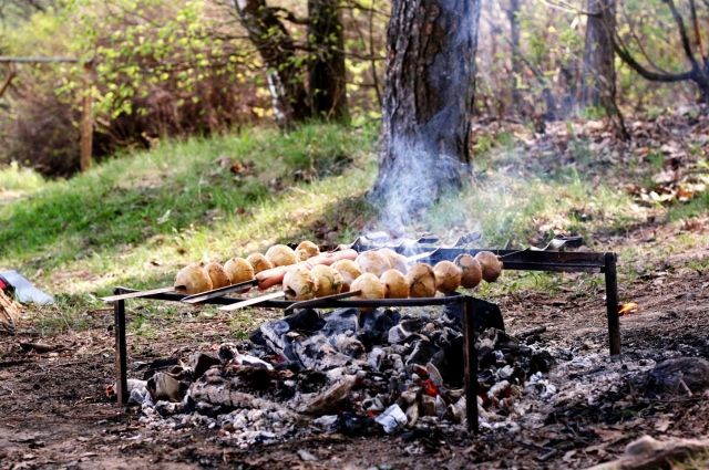 Как весело провести пикник