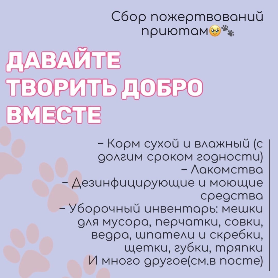 🐾СБОР ПОЖЕРТВОВАНИЕМ ПРИЮТАМ 🐾