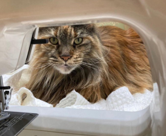 Наши "Помогаторы" Наши "Помогаторы"