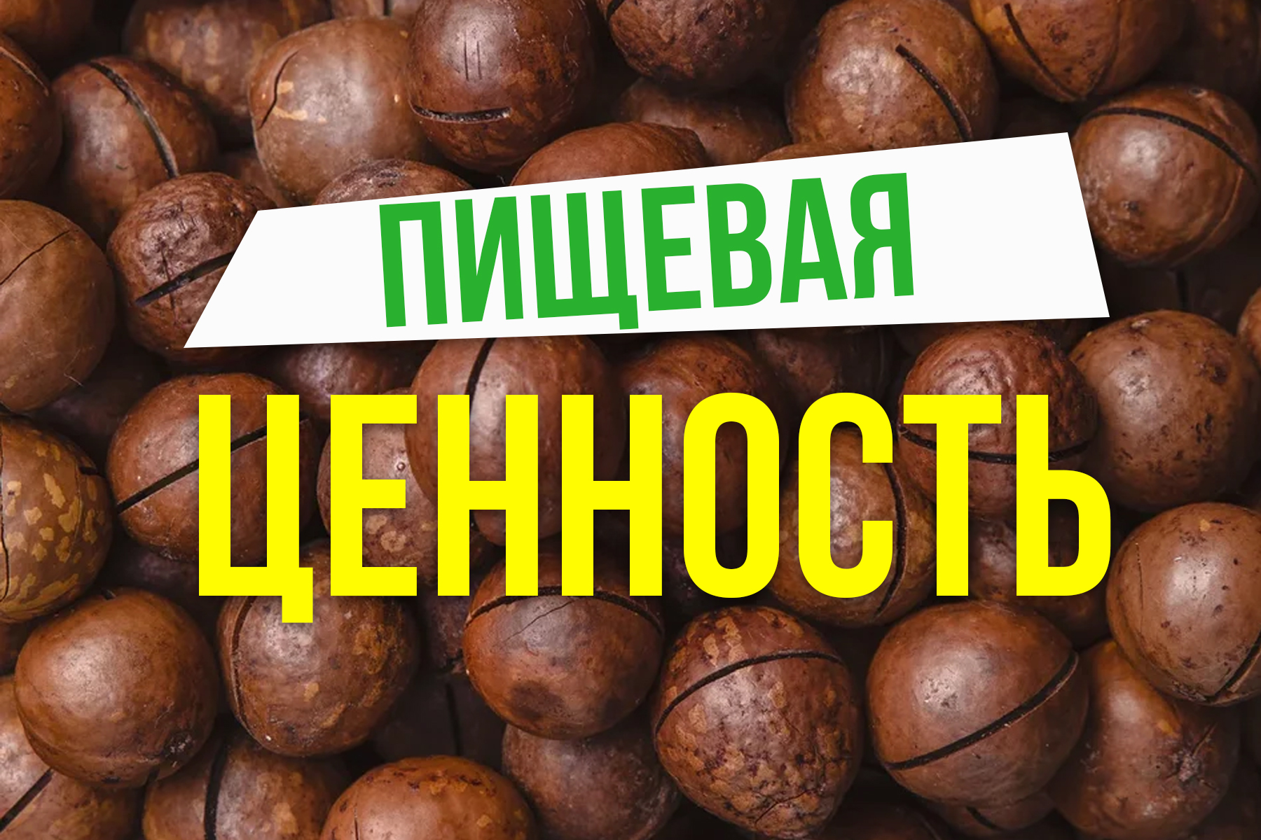 Состав орехов фундук на 100 грамм. Грецкий орех состав витаминов и микроэлементов таблица. Фундук ценность. Энергетическая ценность орехов миндаль. Фундук ценность.
