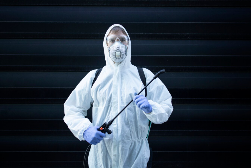 Защита от насекомых и вредителей: как выбрать эффективное средство