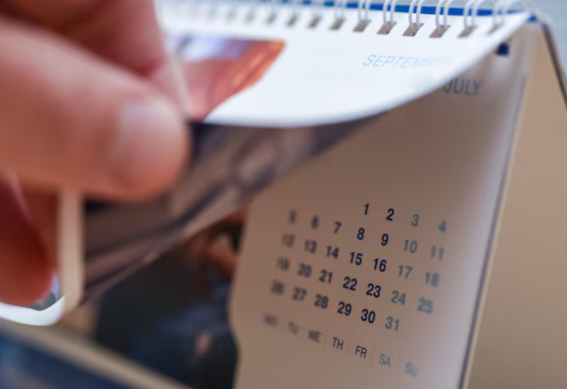 Календарь обработок: пошаговый план весенней защиты от насекомых и грызунов