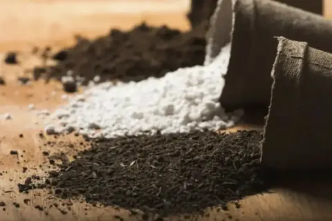 Субстрат: создаем идеальный «дом» для ваших растений